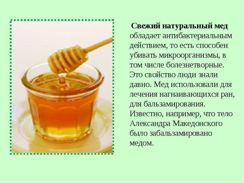 Майский мёд: из чего, когда собирают, чем полезен, как отличить подделку?