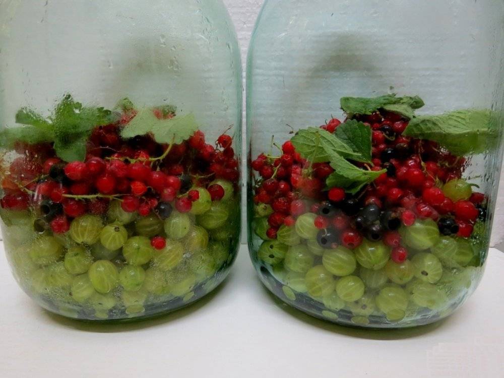 Компот из красной смородины на зиму - 3 простых рецепта