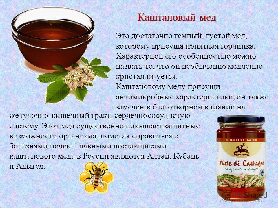 Элитный каштановый мед – универсальное лекарство от всех болезней