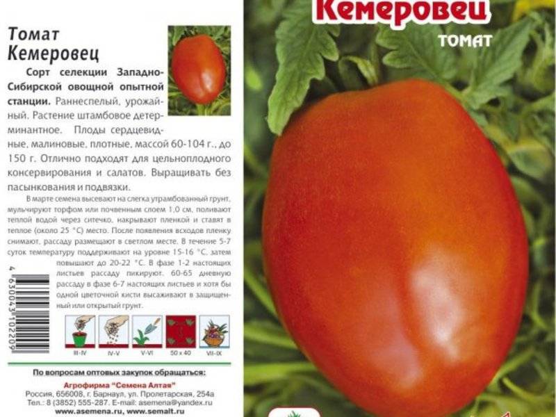 Детерминантные сорта томатов: лучшие сорта для открытого грунта и теплиц :: syl.ru