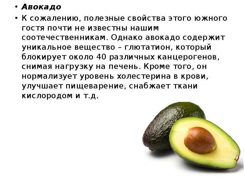Авокадо польза и вред для организма и как его едят правильно