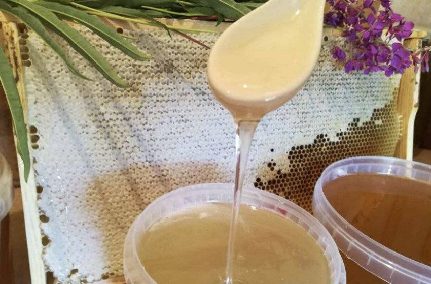 Кипрейный мёд - описание. состав. применение. полезные свойства - медовый сундучок