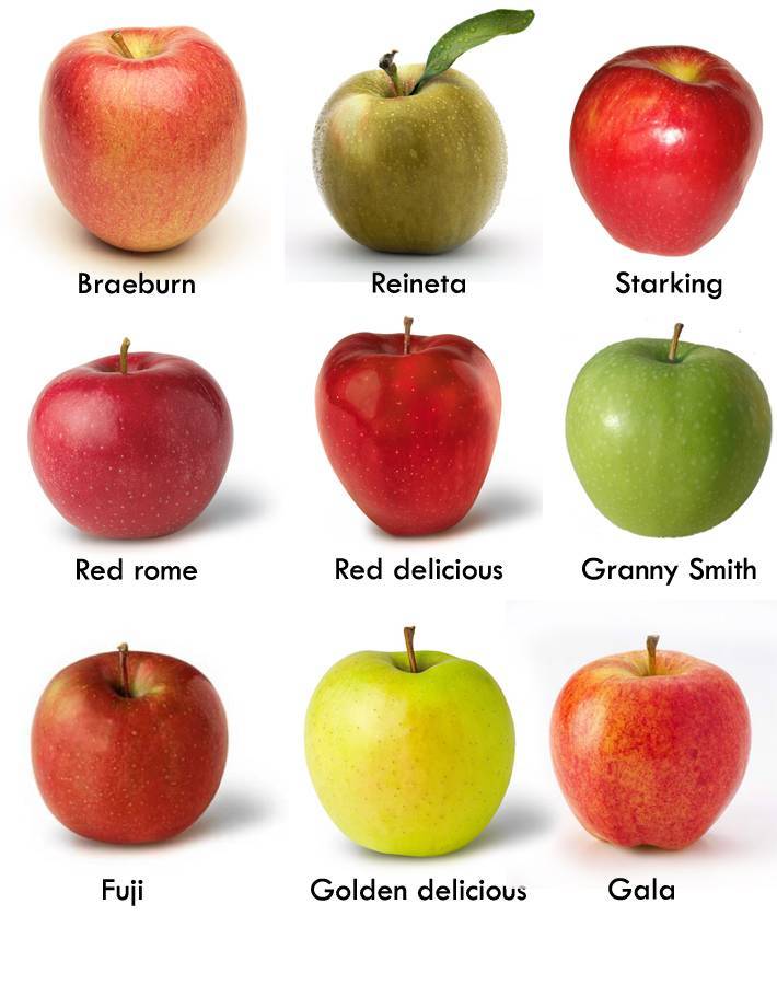 Лучшие красные сорта яблок с описанием и фото