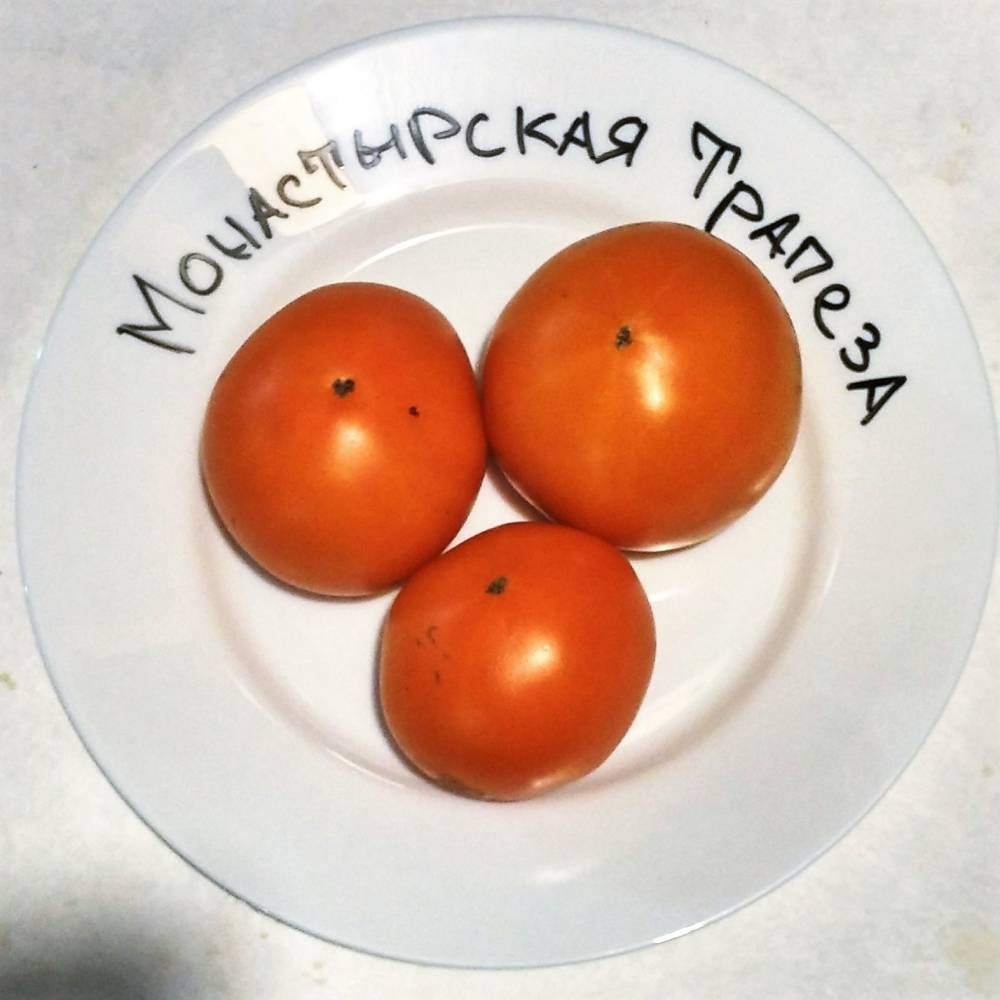 Томат монастырская трапеза: характеристика и описание сорта с фото, урожайность помидора, отзывы