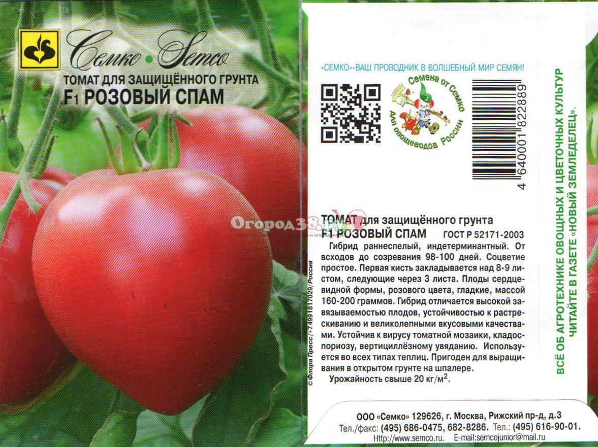 Томат розовый сувенир: характеристика и описание сорта, отзывы тех кто сажал помидоры об их урожайности, фото семян