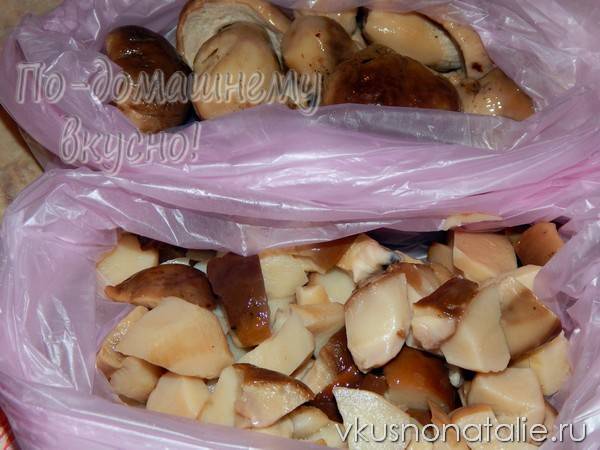 Белые грибы на зиму – простые рецепты домашней заготовки грибов