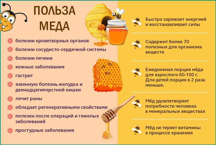 Женьшень на меду