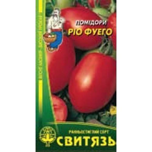 Помидор сорта рио фуего: описание, фото, характеристика томата безрассадного способа выращивания