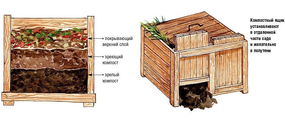 Как приготовить компост в домашних условиях: способы
