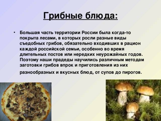 Цезарский гриб (мухомор цезаря). описание, где растет, похожие виды, фото