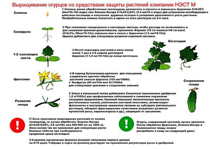 «эпин» — стимулятор роста растений. описание и способы применения — ботаничка.ru