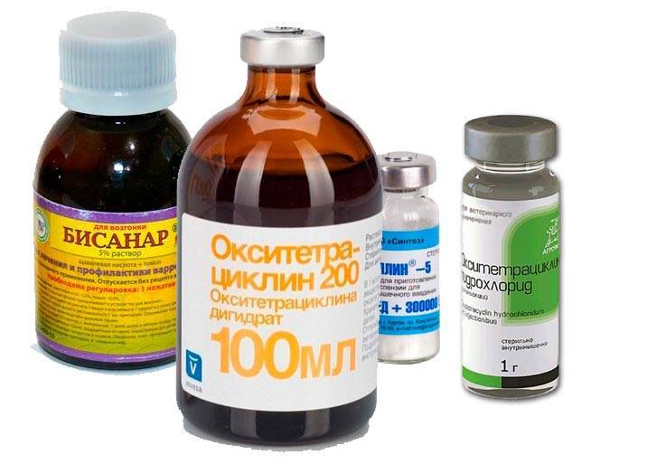 Лечебно-профилактический препарат для пчел при нозематозе. российский патент 1997 года ru 2092044 c1. изобретение по мкп a01k53/00 .