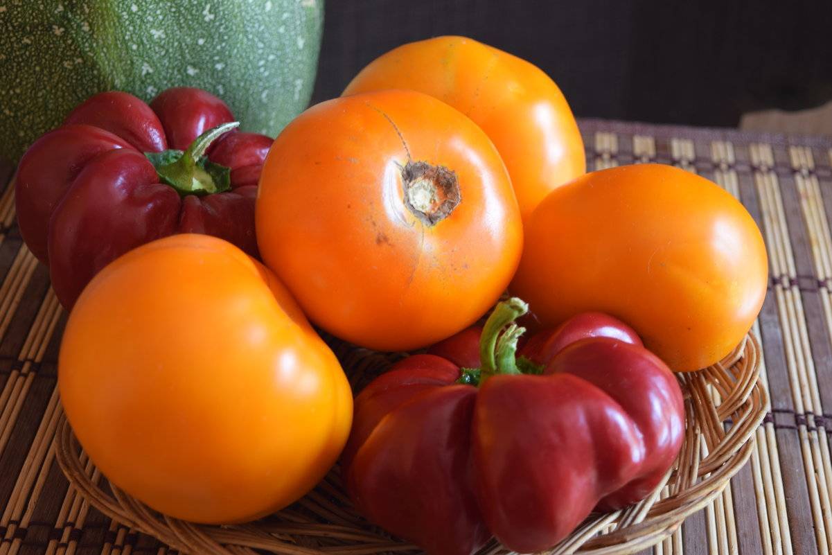 Томат «апельсин»: преимущества и недостатки сорта, сравнение с другими желтоплодными помидорами, отзывы огородников и особенности выращивания