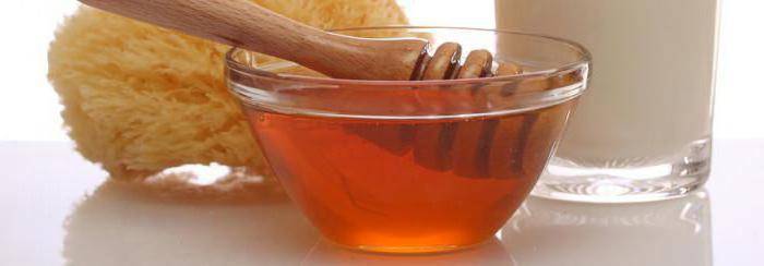 Эвкалиптовый мед, полезные свойства и противопоказания