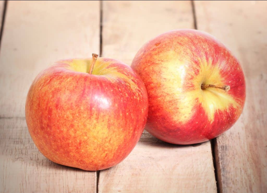 Описание сорта яблони ветеран - медоносы | описание, советы, отзывы, фото и видео