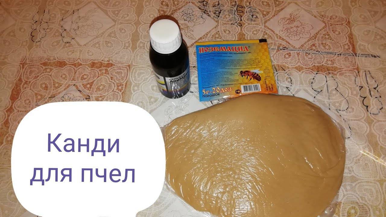 Канди для пчел: рецепт с добавками :: syl.ru