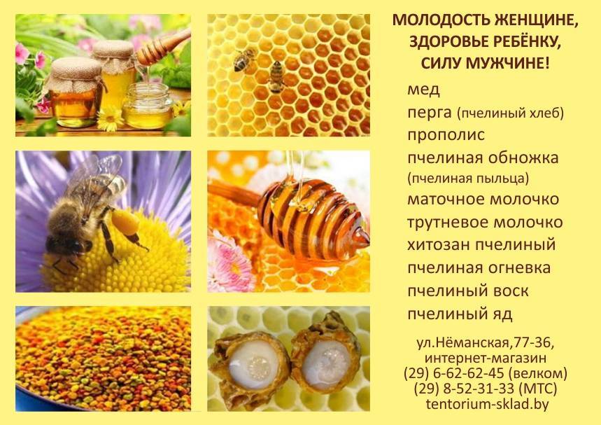 Польза и вред от пчел
