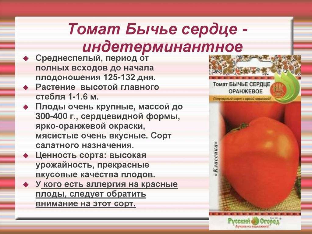 Томат ананас: характеристика и описание сорта, фото, урожайность, выращивание и уход в открытом грунте, фото