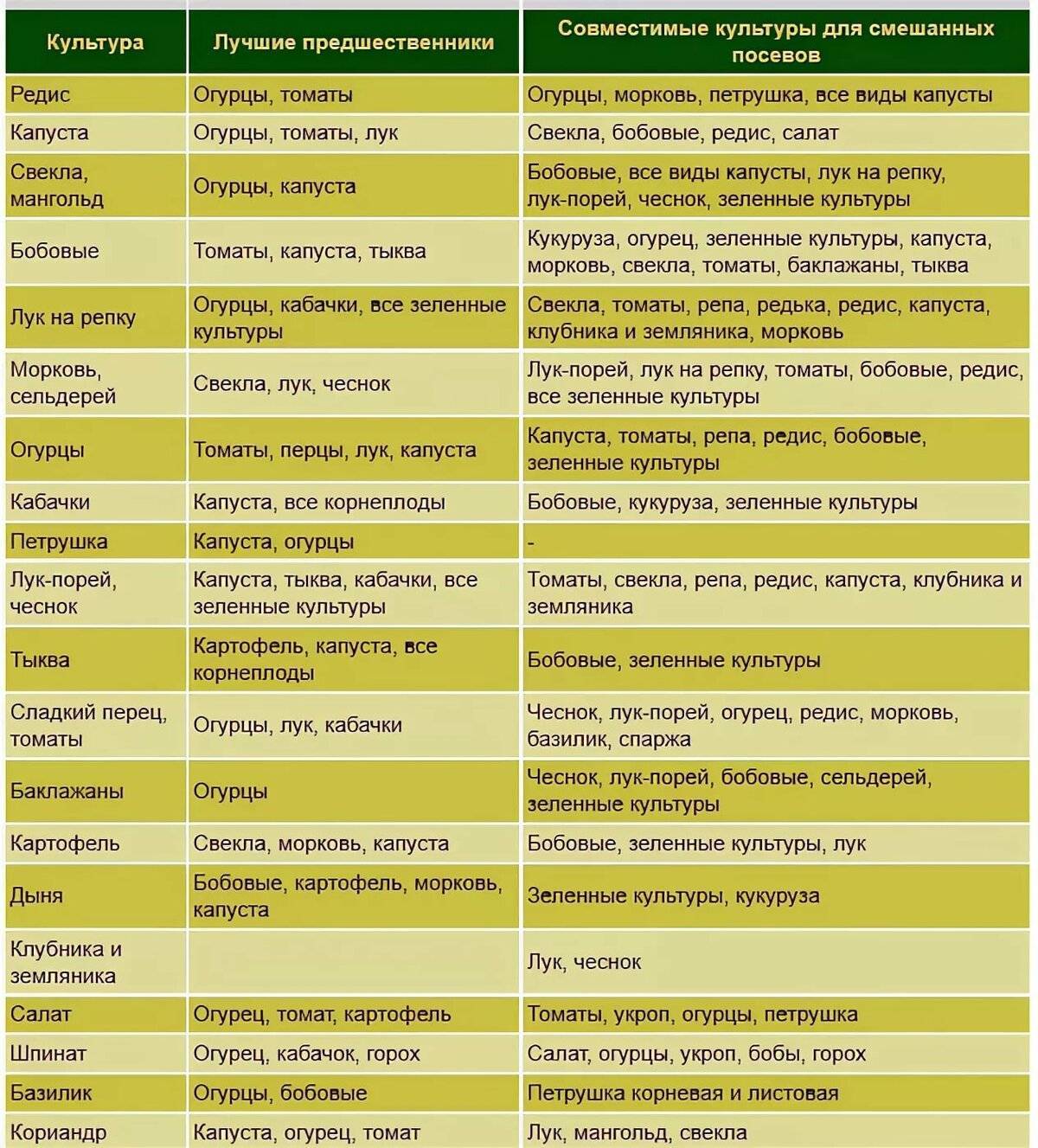 Что лучше посадить рядом. Таблица совместимости на грядке овощных культур. Таблица совместимости растений на огороде соседство овощей. Совместимость посадки овощей в огороде на грядках таблица. Совместимость овощных культур при посадке на грядке таблица.