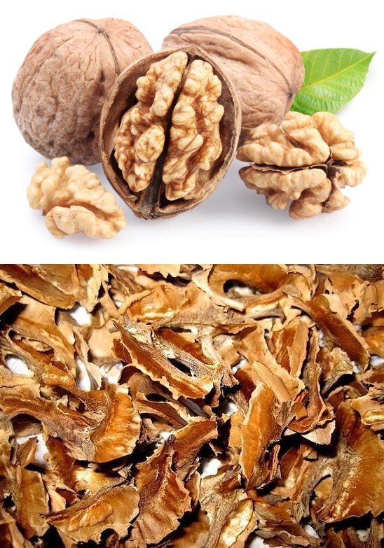 Польза и лечебное применение листьев грецкого ореха. чай из листьев грецкого ореха в правильном питании