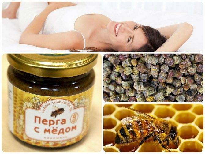 Перга пчелиная: супер-продукт для красоты, здоровья и похудения