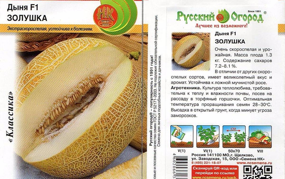 ✅ дыня «ананас f1»: характеристика, выращивание и полезные свойства, фото - tehnoyug.com