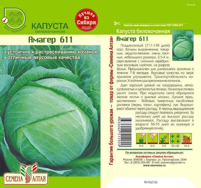 Капуста атрия f1: описание и характеристика сорта, особенности выращивания, фото, отзывы