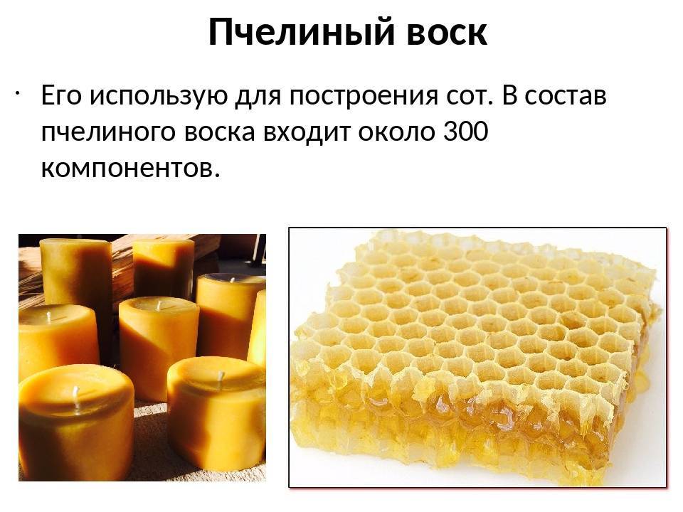Что такое пчелиный воск: использование в лечении болезней, различных косметических дефектов