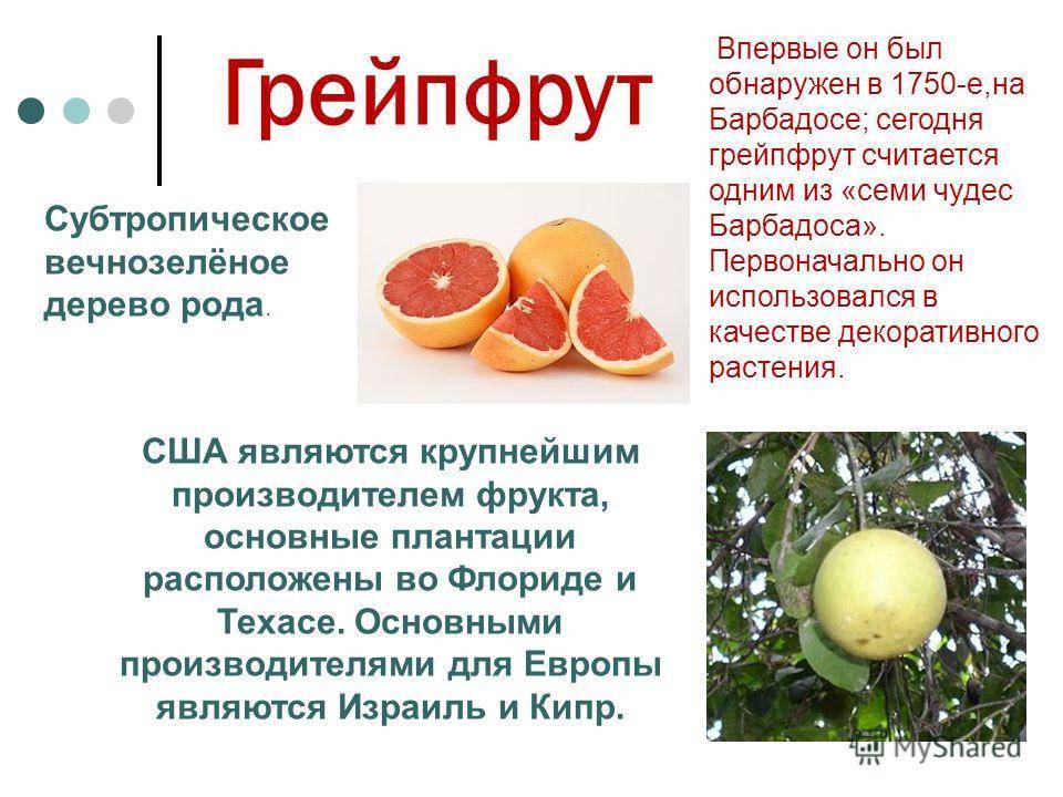 Грейпфрут – польза и вред для здоровья. основные области применения
