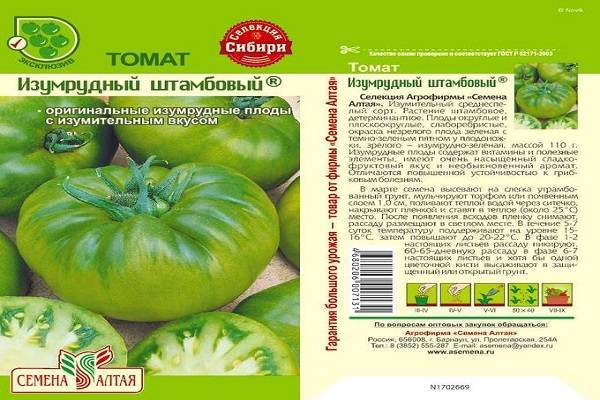 Томат "изумрудное яблоко": описание сорта помидоров, правила выращивания русский фермер