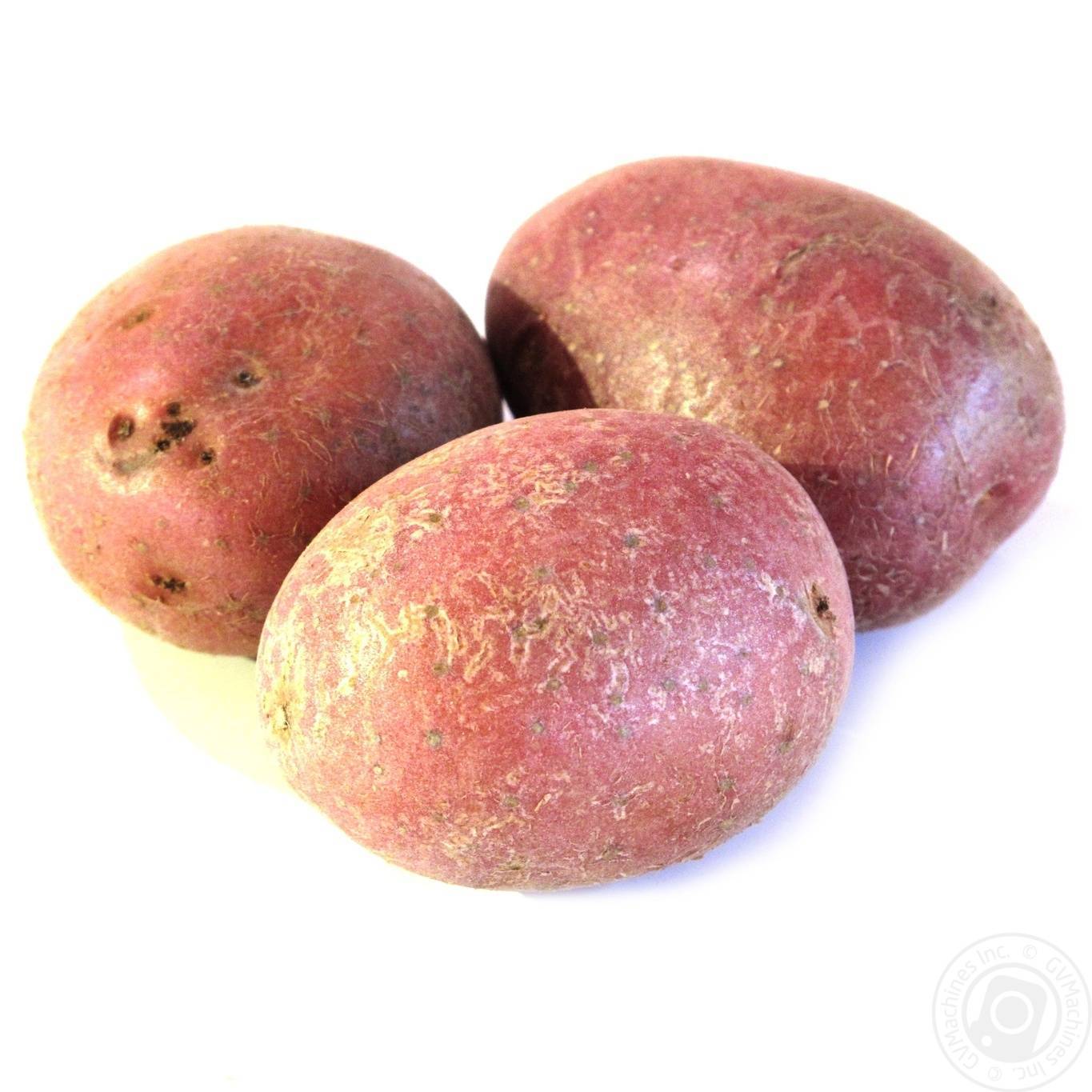 Картофель беллароза