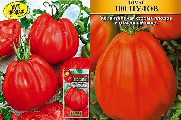 Томат сто пудов: описание сорта, отзывы, фото, урожайность | tomatland.ru