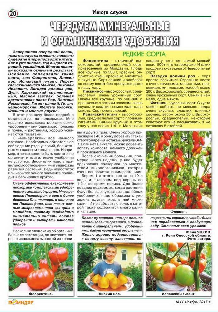 Подкормка помидоров при выращивании в открытом грунте и теплице