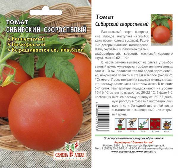 Выращивание рассады помидоров в домашних условиях: инструкция для начинающих
