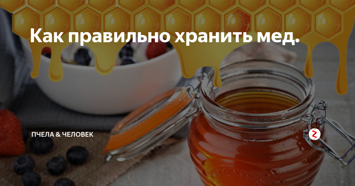 Как хранить мед — 5 советов по срокам, температуре и месте, которые не дадут ему испортиться