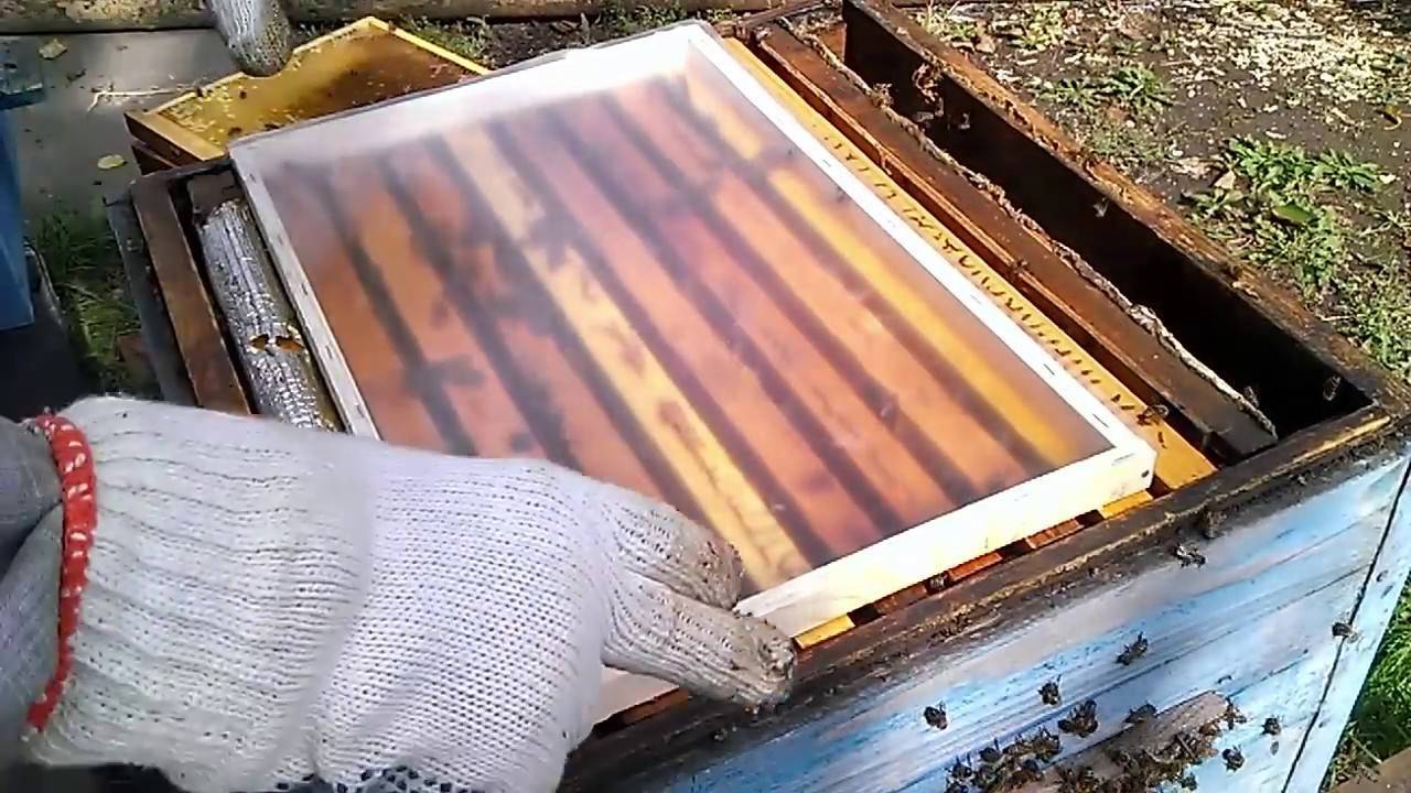 Способы утепления пчелиных ульев.с помощью каких материалов лучше всего производить утепление улья в холодное время года