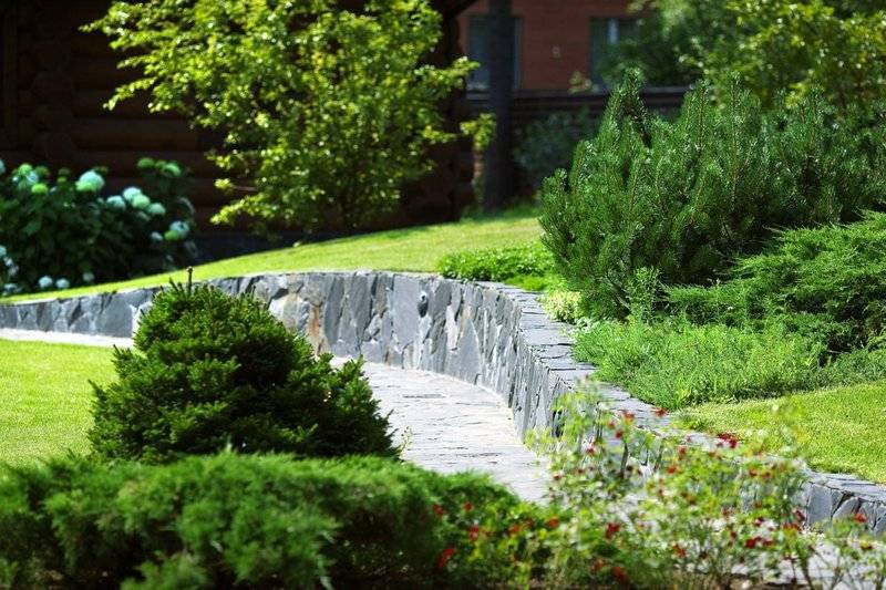 Рокарий — пошаговая инструкция как создать каменистый сад в ландшафтном дизайне своими руками