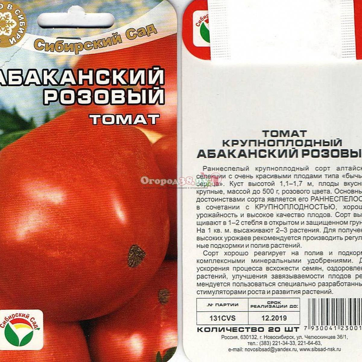 Ампельные томаты: сорта, особенности выращивания