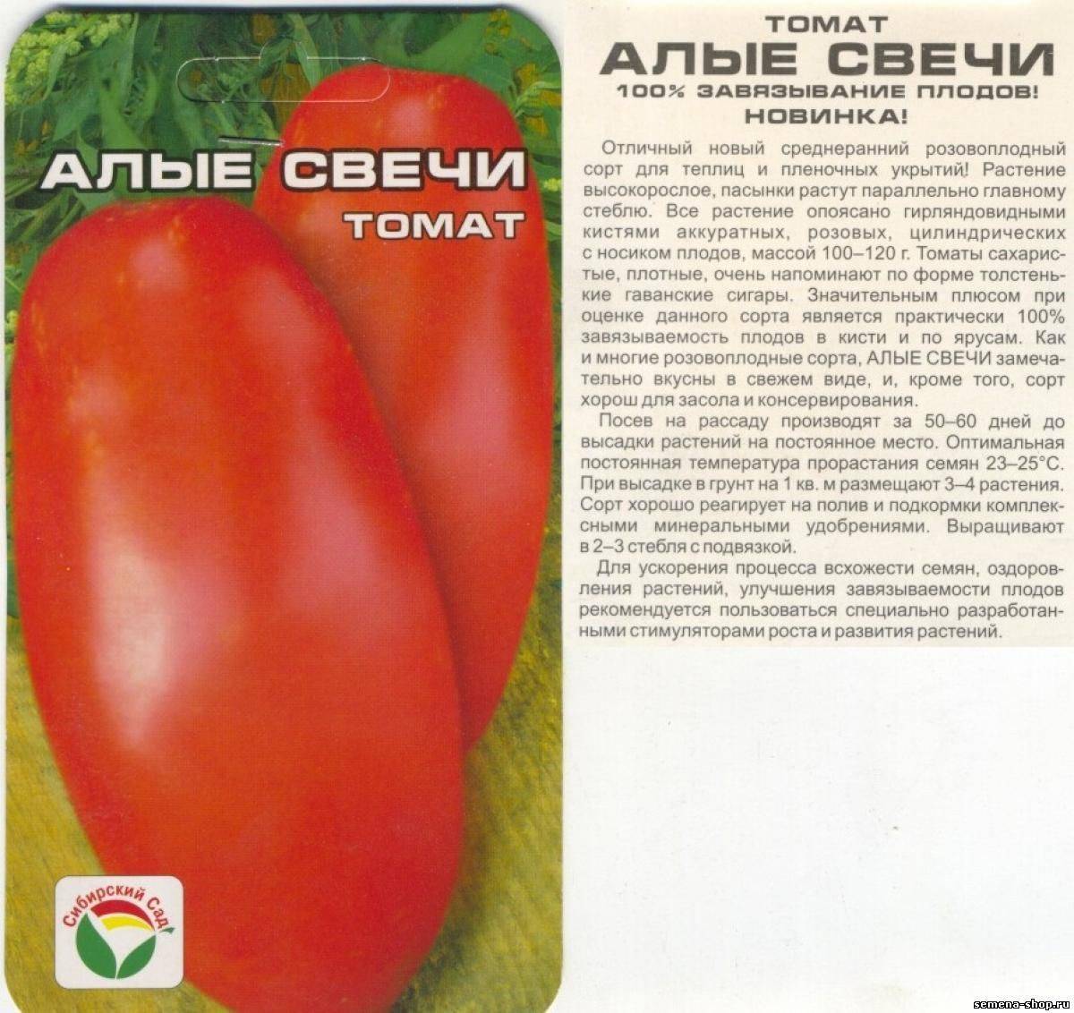Томат чибис: отзывы тех кто сажал помидоры об их урожайности, фото семян, характеристика и описание
