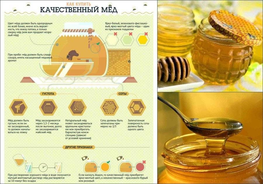 Как правильно хранить пергу пчелиную в домашних условиях