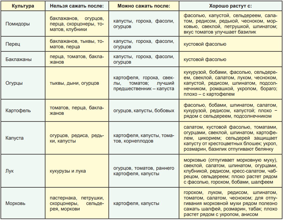 Лучшие предшественники для моркови