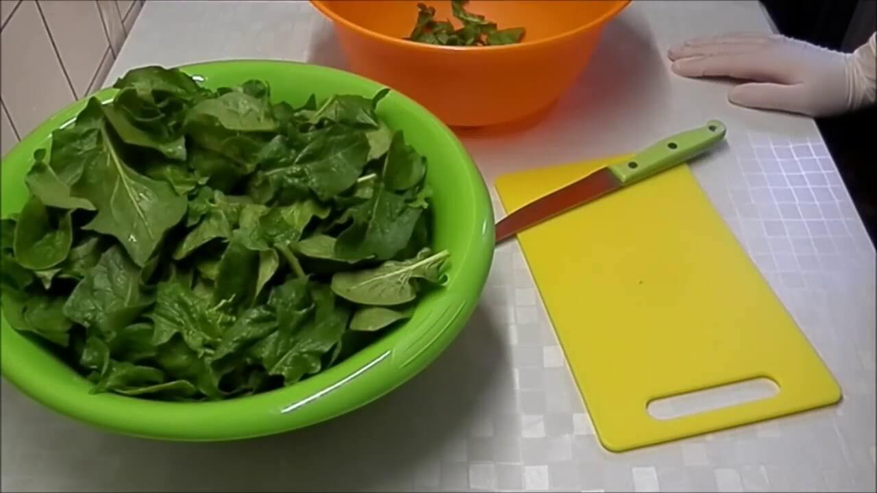 Заготовка шпината на зиму: заморозка и другие рецепты приготовления в домашних условиях » eтеплица