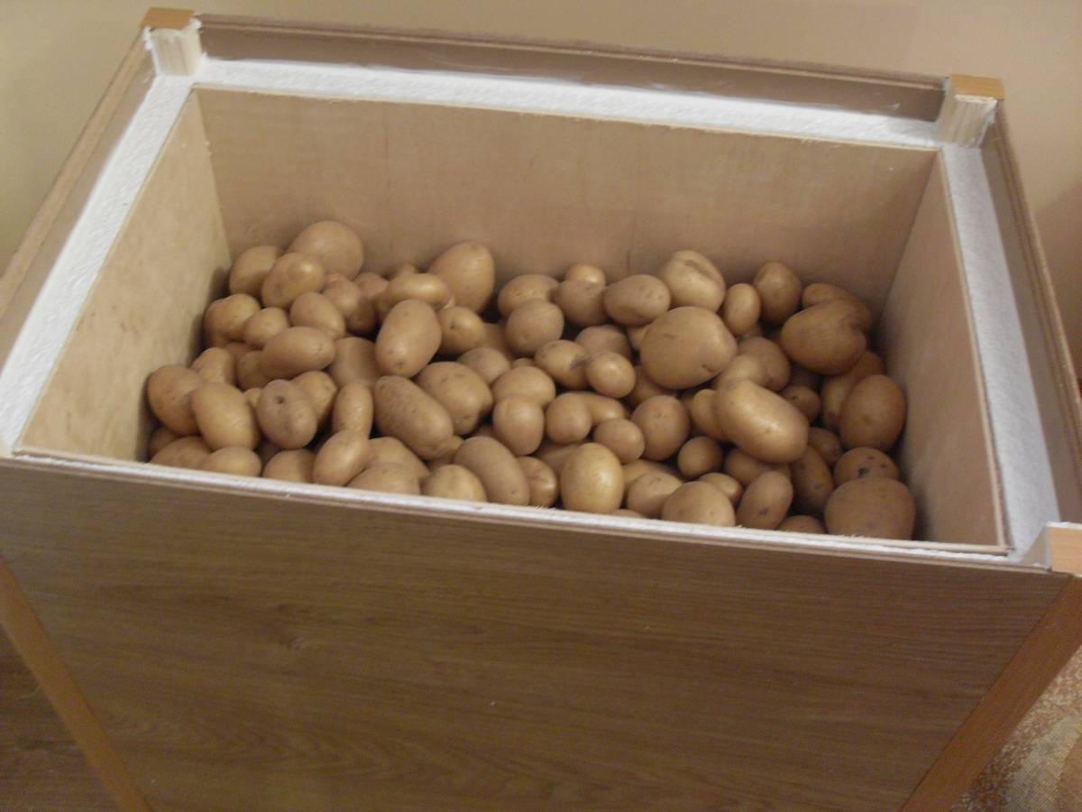 Где и как лучше всего хранить картошку в квартире?