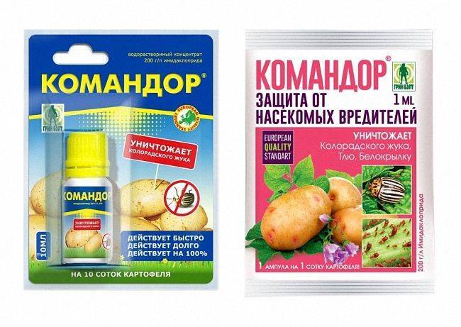 «корадо», препарат для борьбы с колорадским жуком и тлей — описание, инструкция по применению, отзывы — официальный сайт производителя