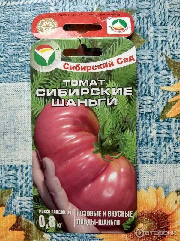 Томат сибирские шаньги: описание сорта, отзывы, фото, урожайность | tomatland.ru