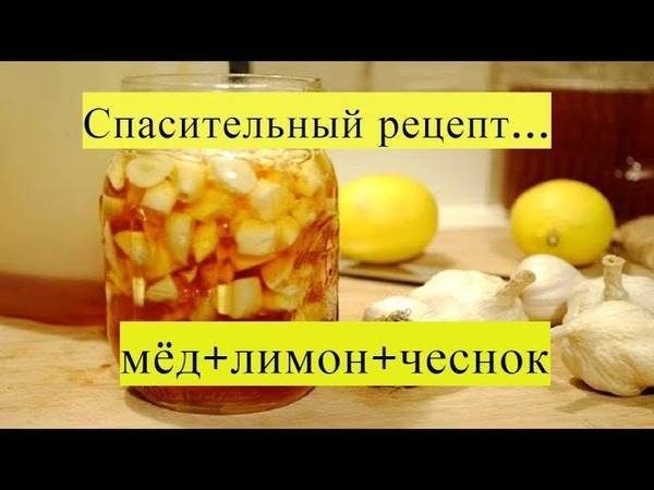 Чеснок, лимон и мед для чистки сосудов: рецепт и схема приема