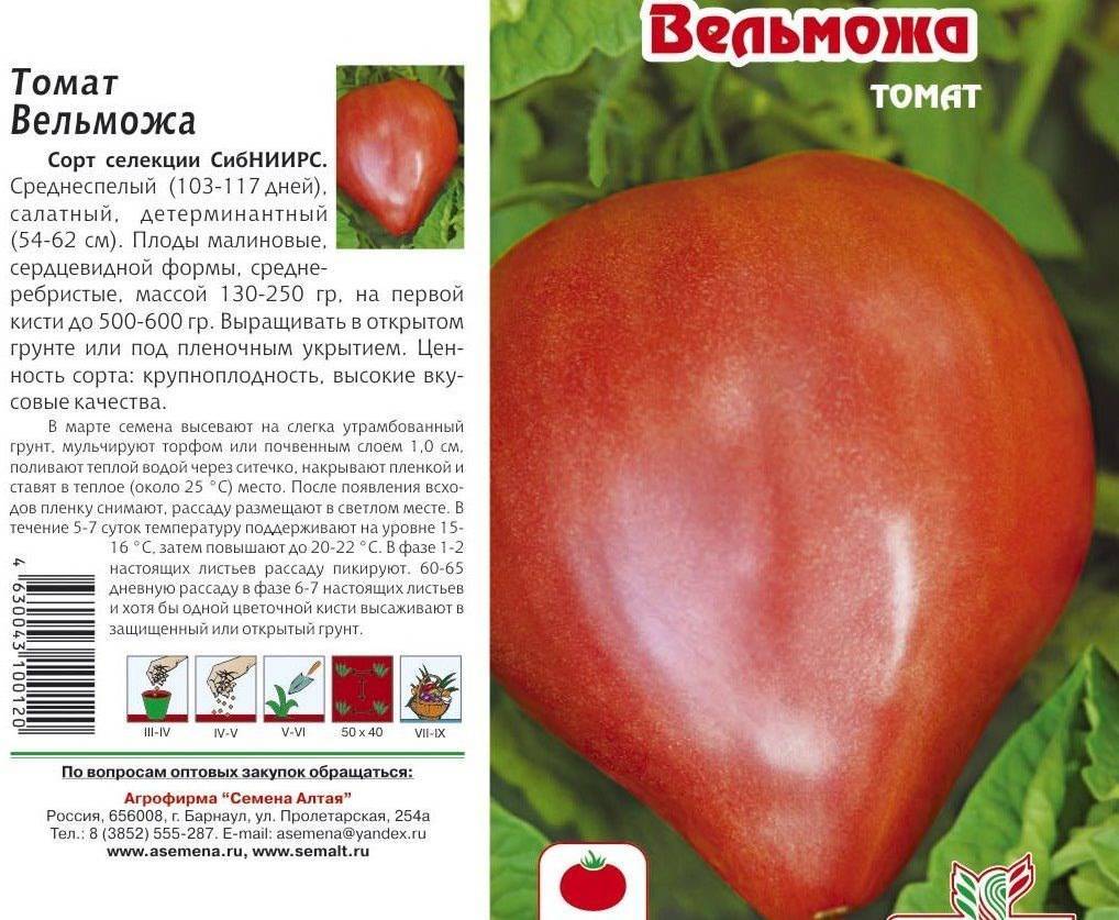 Описание и характеристики сорта томатов Вельможа, урожайность, посадка и уход