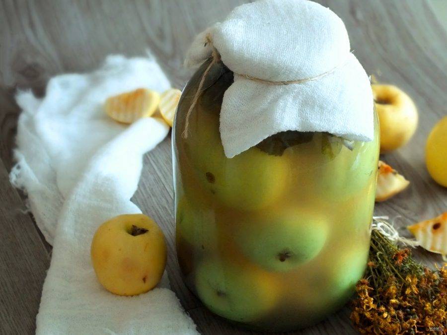 Моченые яблоки: рецепты в домашних условиях в банках на зиму с фото и видео
