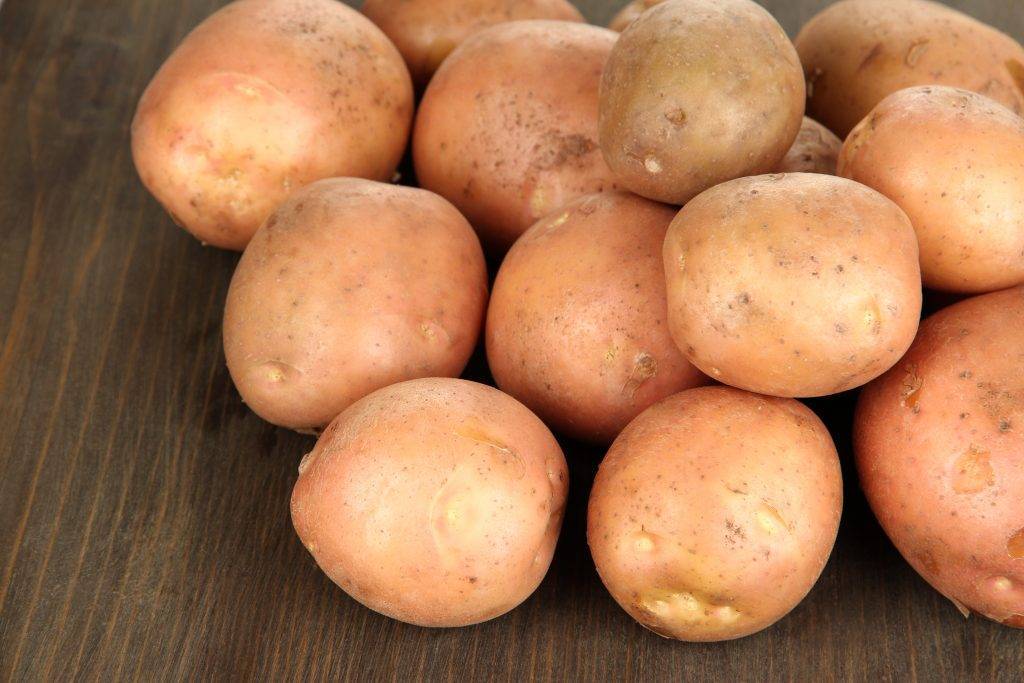 Картофель ирбитский: среднеспелый сорт с хорошей урожайностью: характеристики, свойства, методы