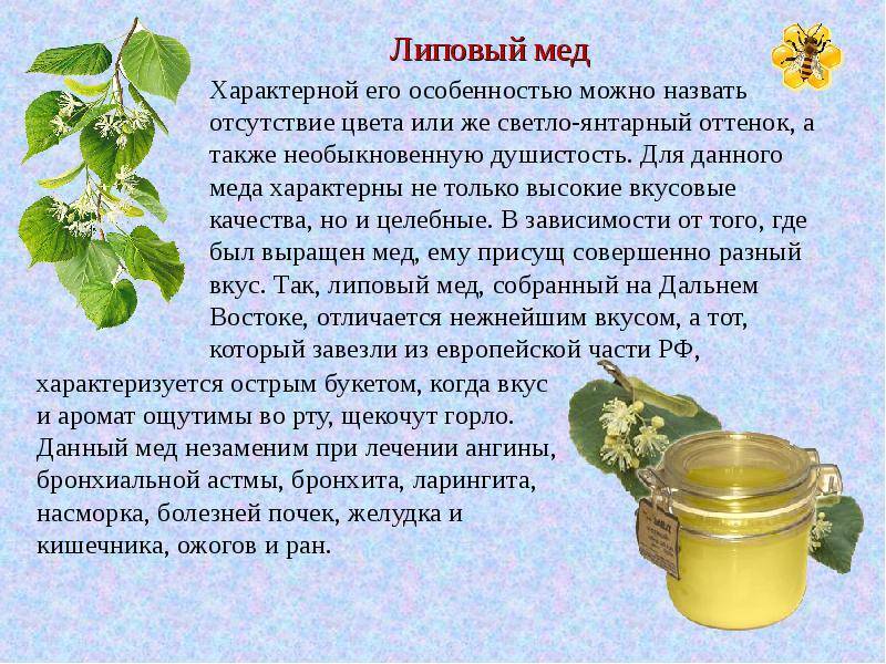 О луговом меде: описание меда с василька лугового, внешний вид, свойства